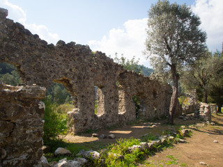Fototapeta na wymiar Olympos ruins, Cirali, Turkey