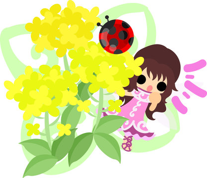 Pretty fairy and beautiful brassica and ladybug