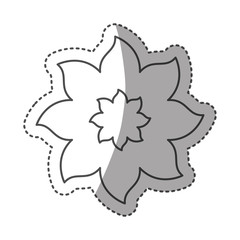 sticker monochrome contour with flower of eight petals close up vector illustration