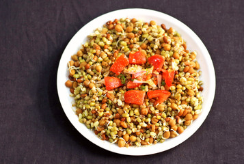 Germinated healthy seeds on the black background in white plate.