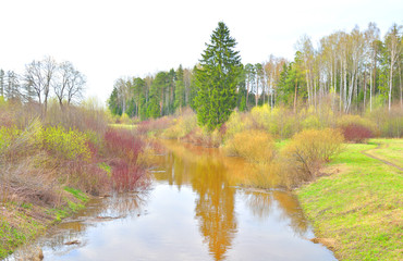 River Slavianka at spring.