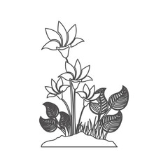 grayscale contour with plant with flowers vector illustration