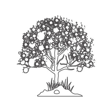 grayscale contour with leafy tree vector illustration