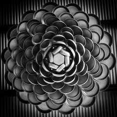 Obraz premium Pots and Pans Flower