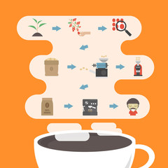 coffee process infographic