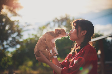 Silhouette photo of young woman with a ponytail giving a kiss to her cute little brown chihuahua dog. Dog Lovers concept.