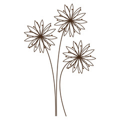 monochrome silhouette with daisy flower vector illustration