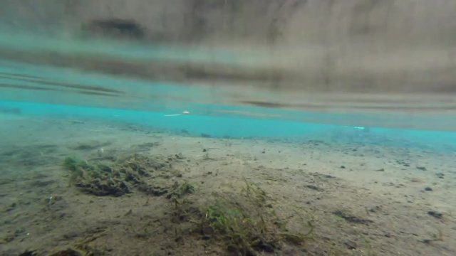 Underwater footage of a trout hooked on line