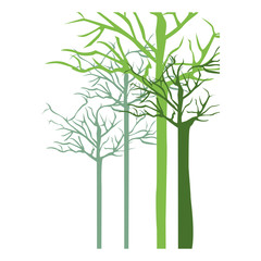 silhouette with trees without leafs vector illustration