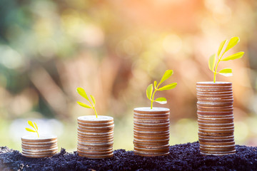 Growing plant on row of coin money , csr in business