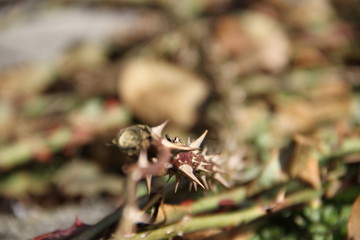 Experience the garden