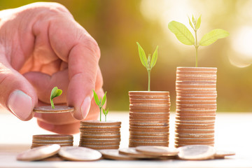 Close up of male hand stacking gold coins with green bokeh background ,Business Finance and Money concept,Save money for prepare in the future.Trees growing on coin