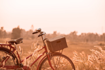 Fototapeta na wymiar beautiful landscape image with Bicycle at summer grass field.classic bicycle,old bicycle style for greeting Cards ,post card