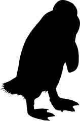 Silhouette of a South african penguin - digitally hand drawn vector illustration