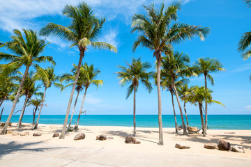 Landscape of coconut palm tree on tropical beach in summer.