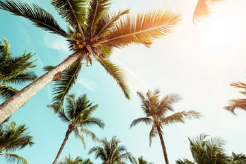 Poster Kokospalm op strand met zonlicht in de zomer - vintage kleurtoon. © jakkapan