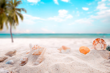 Fototapeta na wymiar Seaside summer beach with starfish, shells, coral on sandbar and blur sea background. Concept of summertime on beach. vintage color tone.