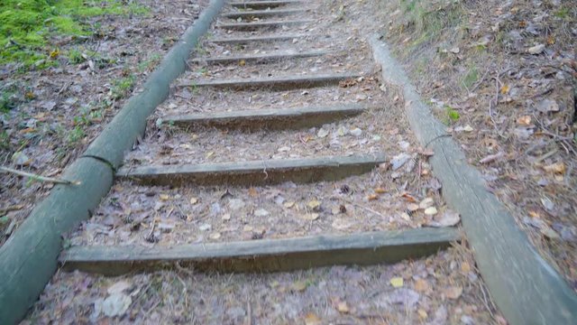 12741_Going_up_on_the_stairs_from_the_forest_in_Piusa.mov