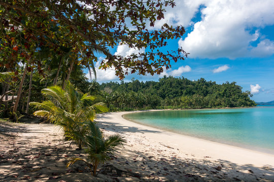 Tropical Cove Beach between San Vicente and Port Barton, Palawan