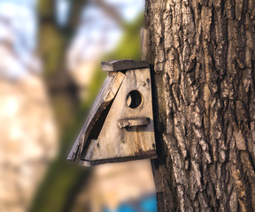 Birdhouse on the old tree trunk.