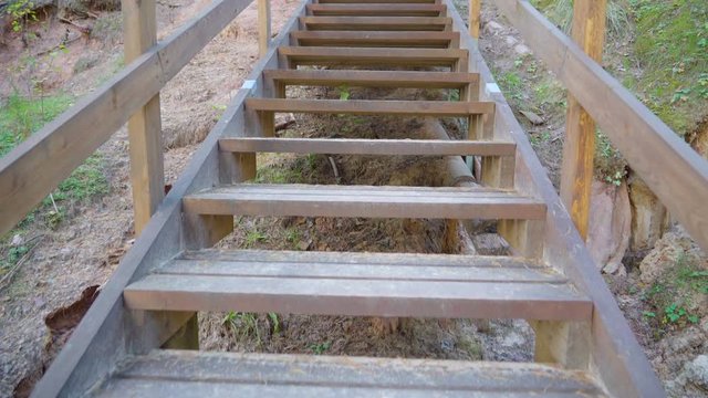 12743_The_steps_of_the_wooden_stairs_in_Piusa_forest.mov