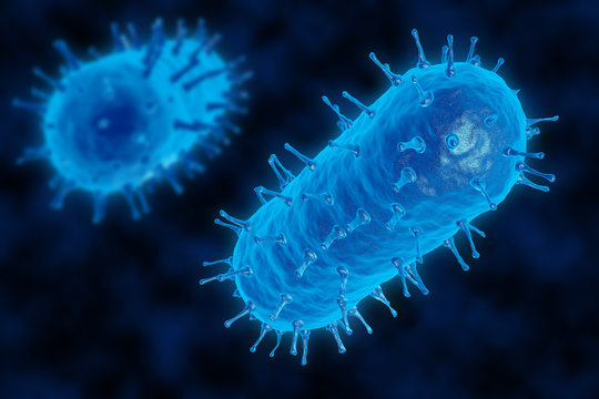 3D render of a bacterium. The virus infects cells of the immune system.