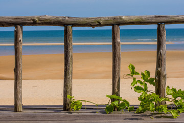 old wooden posts of a balcony rail with a growing ivy plant over looking a golden sand beach with depth of field.