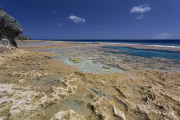 Hikatuvale reef flats and tidal pools, Island of Niue, South Pacific Ocean