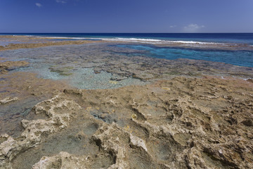 Hikatuvale reef flats and tidal pools, Island of Niue, South Pacific Ocean