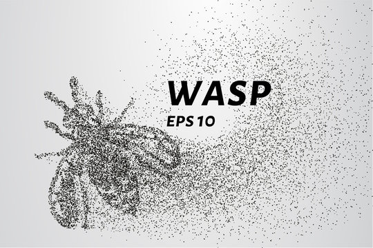 Wasp of the particles. Wasp consists of circles and points. Vector illustration