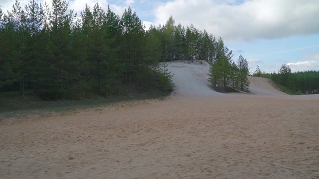 12748_The_wide_white_sand_shore_in_the_Piusa_forest_.mov
