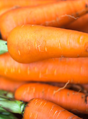 Organic carrot Food background