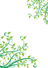 Spring background concept. Plants and foliage on white