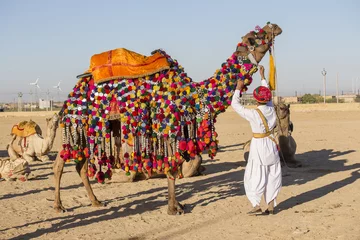 Afwasbaar Fotobehang Kameel Kameel en Indiase mannen nemen deel aan Desert Festival. Jaisalmer, Rajasthan, India