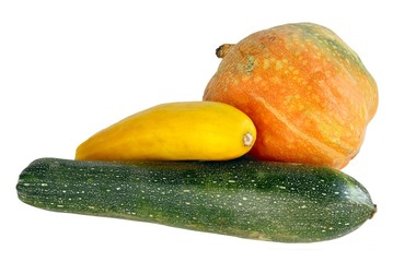 zucchinies and pumpkin