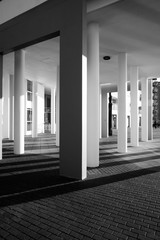 Building columns casting long shadows - black and white
