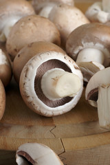 Chestnut mushrooms also known as velvet pioppino or black poplar mushrooms
