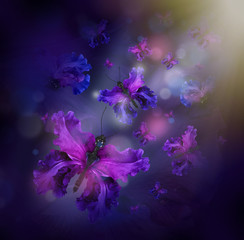 Plakat Amazing butterfly fairy of flowers, hydrangeas and iris.