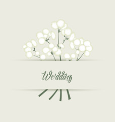 Vector white flowers