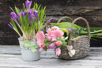Lila Krokusse in voller Blüte mit einem Frühlingsstrauß im Weidenkorb