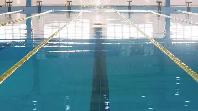 Male Swimmer Swims In Pool HD Video. Butterfly Style Start Training. Professional Athlete Jumps On Water Lane. Front View