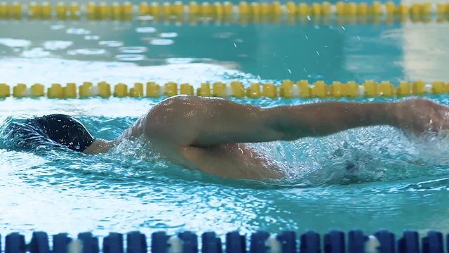 Male swimmer swims in pool HD video. Crawl freestyle training. Professional man athlete on water lane.
