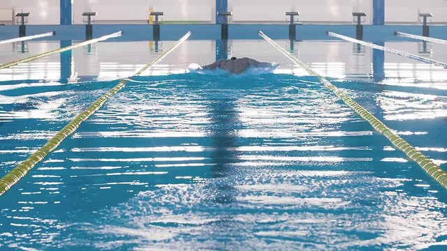 Male swimmer swims in pool HD slow-motion video. Butterfly training of professional athlete. Water splashing. Back view, camera behind