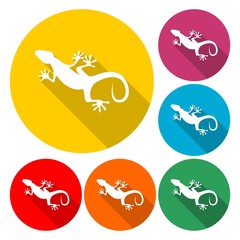 Lizard icon vector - Illustration