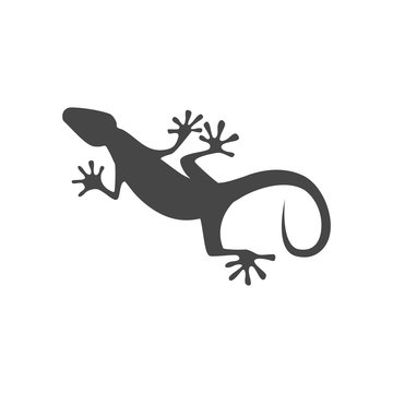 Lizard icon vector - Illustration