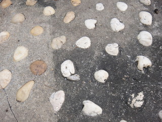 Fototapeta premium Decorative rock garden
