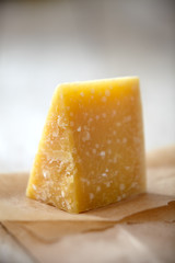 piece of cheese