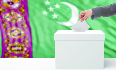 Voter on a Turkmenistan flag background. 3d illustration