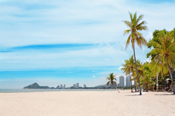 beautiful beach and tropical sea