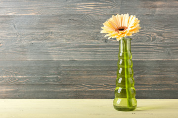 Fresh yellow gerbera flower in vase